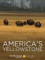 Watch America\'s Yellowstone Vidbull