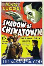 Watch Shadow of Chinatown Vidbull