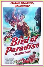 Watch Bird of Paradise Vidbull