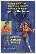 Watch A Tiger Walks Vidbull