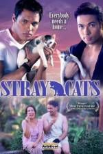 Watch Stray Cats Vidbull