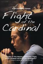 Watch Flight of the Cardinal Vidbull
