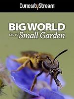 Watch Big World in a Small Garden (TV Short 2016) Vidbull