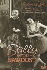 Watch Sally of the Sawdust Vidbull