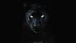 Watch The Real Black Panther (Short 2020) Vidbull