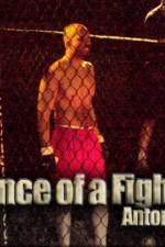 Watch The Essence of a Fighter Vidbull