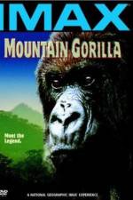 Watch Mountain Gorilla Vidbull