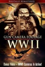 Watch Gun Camera Footage WWII Vidbull