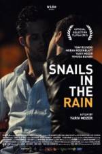 Watch Snails in the Rain Vidbull