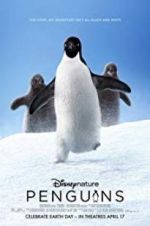 Watch Penguins Vidbull