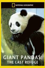 Watch National Geographic Giant Pandas The Last Refuge Vidbull