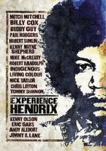 Watch Experience Jimi Hendrix Vidbull