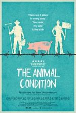 Watch The Animal Condition Vidbull