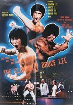 Watch The Clones of Bruce Lee Vidbull