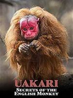 Watch Uakari: Secrets of the English Monkey Vidbull