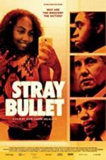 Watch Stray Bullet Vidbull