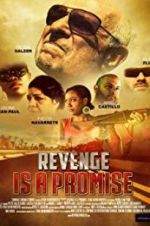 Watch Revenge Is a Promise Vidbull