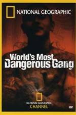 Watch National Geographic World's Most Dangerous Gang Vidbull