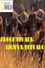 Watch National Geographic - Blood Rivals: Lion vs. Buffalo Vidbull