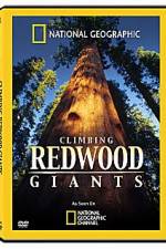 Watch National Geographic Explorer: Climbing Redwood Giants Vidbull