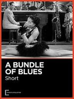 Watch A Bundle of Blues Vidbull