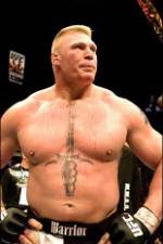 Watch Brock Lesnar 7 Fights Vidbull