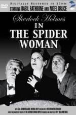Watch The Spider Woman Vidbull
