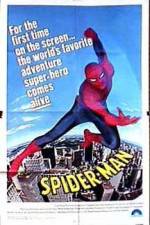 Watch "The Amazing Spider-Man" Pilot Vidbull