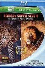 Watch Africa's Super Seven Vidbull