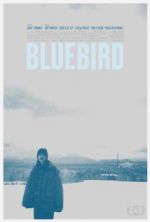 Watch Bluebird Vidbull