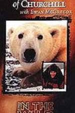 Watch The Polar Bears of Churchill with Ewan McGregor Vidbull