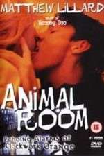 Watch Animal Room Vidbull