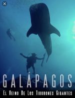 Watch Galapagos: Realm of Giant Sharks Vidbull