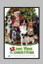 Watch 12 Dog Days of Christmas Vidbull