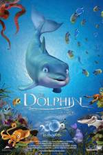 Watch The Dolphin Story of a Dreamer Vidbull
