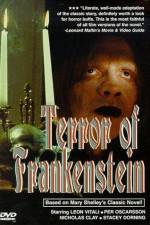 Watch Victor Frankenstein Vidbull