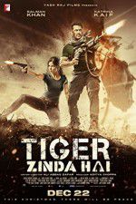 Watch Tiger Zinda Hai Vidbull