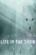 Watch Life in the Snow Vidbull