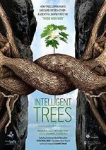 Watch Intelligent Trees Vidbull