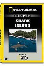 Watch National Geographic: Shark Island Vidbull