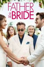 Watch Father of the Bride Vidbull