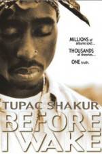 Watch Tupac Shakur Before I Wake Vidbull