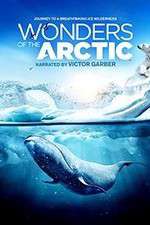 Watch Wonders of the Arctic 3D Vidbull