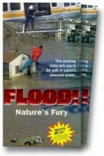 Watch Flood Vidbull