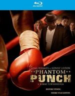 Watch Phantom Punch Vidbull