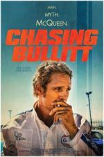 Watch Chasing Bullitt Vidbull