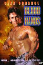 Watch Blood Hands Vidbull