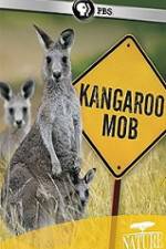 Watch Kangaroo Mob Vidbull