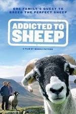 Watch Addicted to Sheep Vidbull