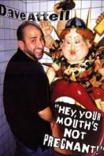 Watch Dave Attell - Hey Your Mouth's Not Pregnant! Vidbull